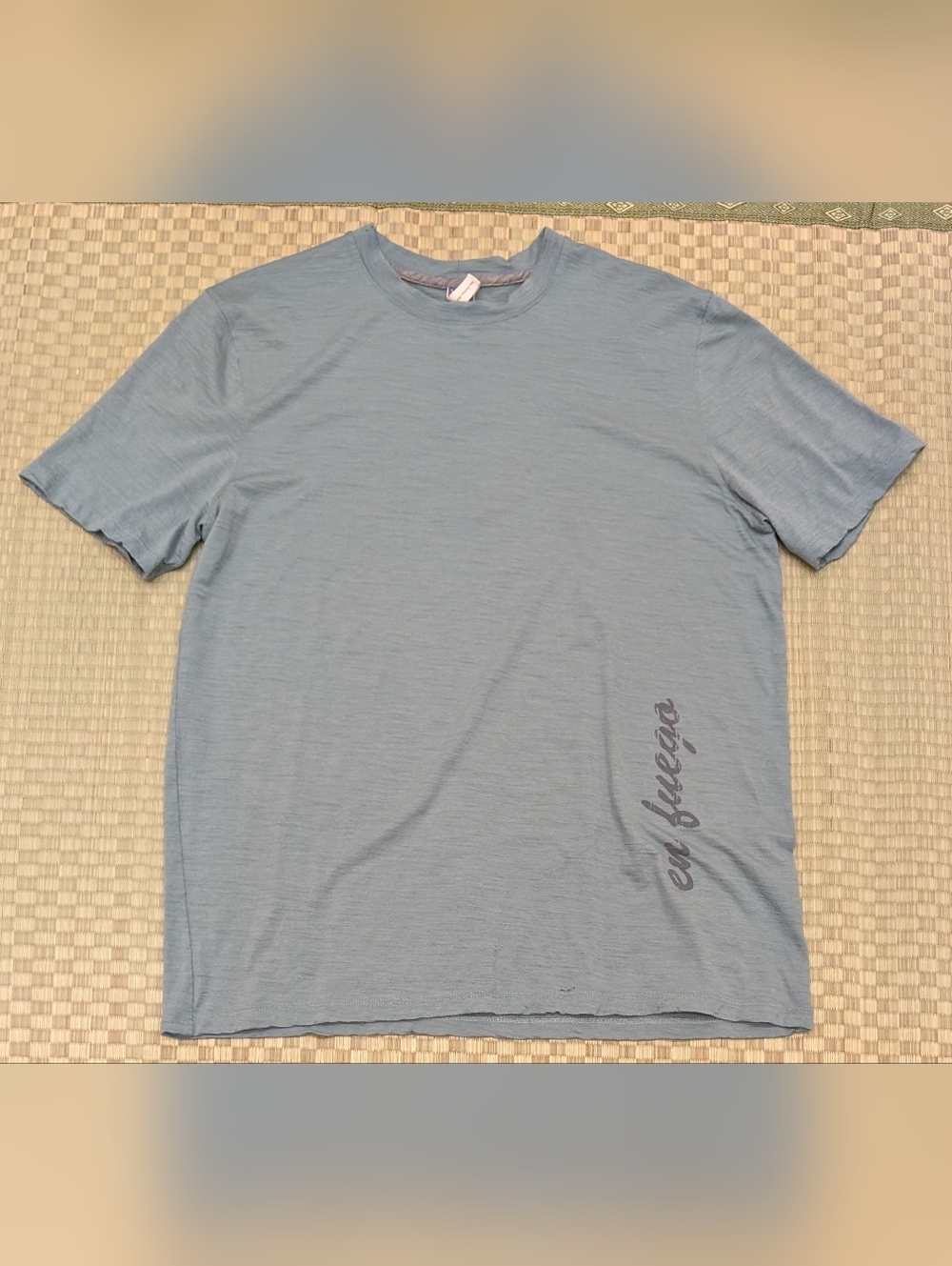 Ibex 100% Merino Wool T-shirt Men's Size Large "En Fuego" Print *Flaws